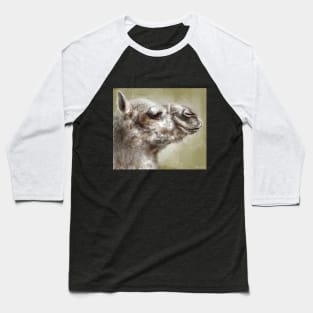 Portrait of a Smug Looking Camel on Sepia Background Baseball T-Shirt